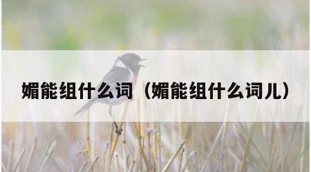 媚能组什么词（媚能组什么词儿）