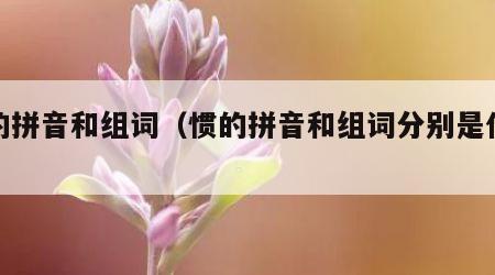 惯的拼音和组词（惯的拼音和组词分别是什么）