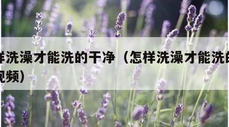 怎样洗澡才能洗的干净（怎样洗澡才能洗的干净视频）