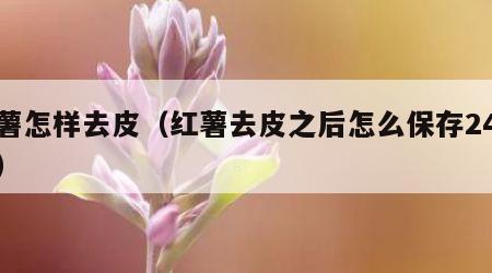 红薯怎样去皮（红薯去皮之后怎么保存24小时）