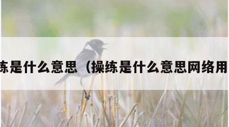 操练是什么意思（操练是什么意思网络用语）