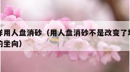 怎样用人盘消砂（用人盘消砂不是改变了地盘立的坐向）