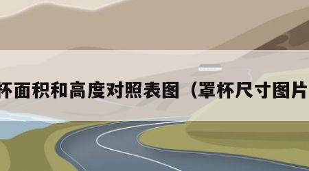 罩杯面积和高度对照表图（罩杯尺寸图片表）