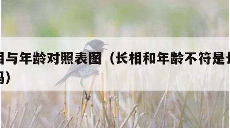 长相与年龄对照表图（长相和年龄不符是长得老吗）