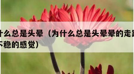 为什么总是头晕（为什么总是头晕晕的走路有点不稳的感觉）