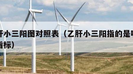 乙肝小三阳图对照表（乙肝小三阳指的是哪几项指标）