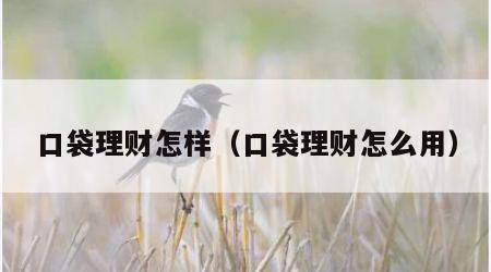 口袋理财怎样（口袋理财怎么用）