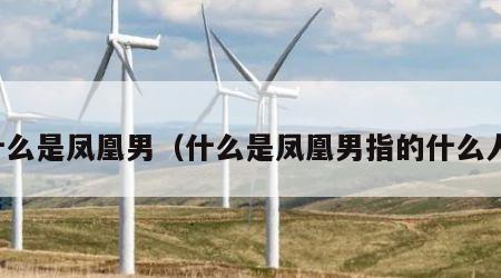 什么是凤凰男（什么是凤凰男指的什么人）