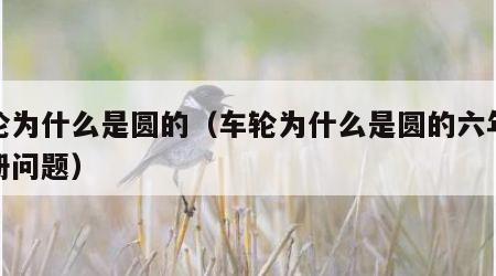 车轮为什么是圆的（车轮为什么是圆的六年级上册问题）