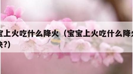宝宝上火吃什么降火（宝宝上火吃什么降火效果快?）
