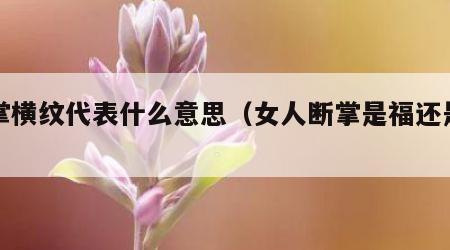 手掌横纹代表什么意思（女人断掌是福还是祸）