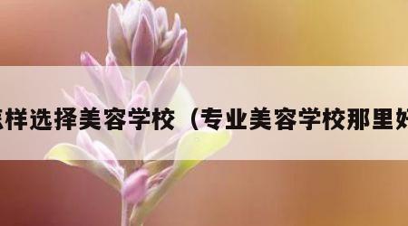 怎样选择美容学校（专业美容学校那里好）
