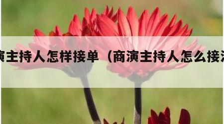 商演主持人怎样接单（商演主持人怎么接活动）