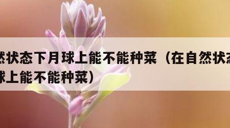 自然状态下月球上能不能种菜（在自然状态上月球上能不能种菜）