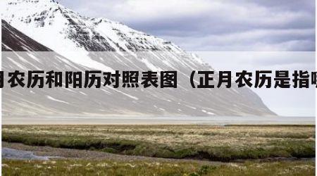 正月农历和阳历对照表图（正月农历是指哪个月）