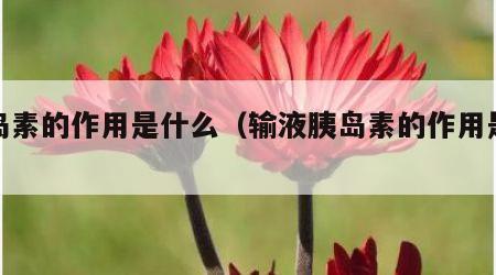 胰岛素的作用是什么（输液胰岛素的作用是什么）