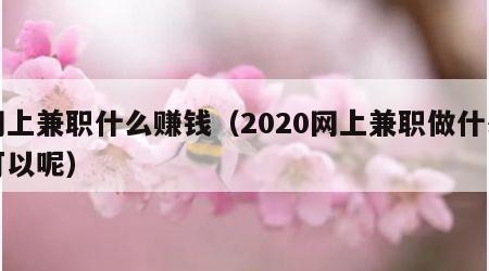 网上兼职什么赚钱（2020网上兼职做什么可以呢）