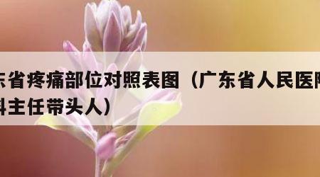 广东省疼痛部位对照表图（广东省人民医院疼痛科主任带头人）