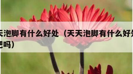 天天泡脚有什么好处（天天泡脚有什么好处能减肥吗）