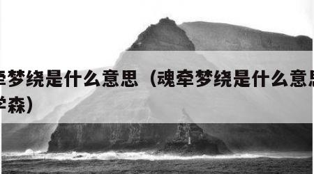 魂牵梦绕是什么意思（魂牵梦绕是什么意思在钱学森）