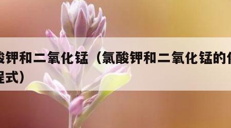氯酸钾和二氧化锰（氯酸钾和二氧化锰的化学方程式）