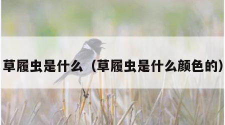 草履虫是什么（草履虫是什么颜色的）