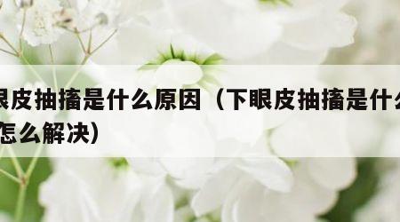 下眼皮抽搐是什么原因（下眼皮抽搐是什么原因,怎么解决）
