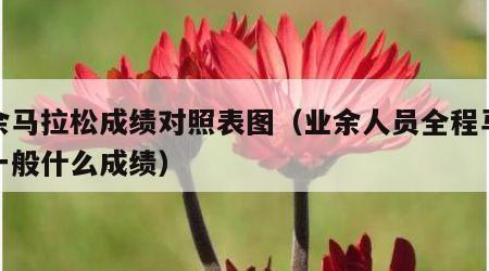 业余马拉松成绩对照表图（业余人员全程马拉松一般什么成绩）