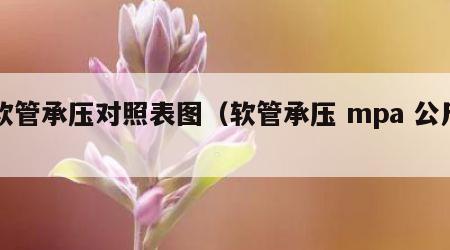 软管承压对照表图（软管承压 mpa 公斤）