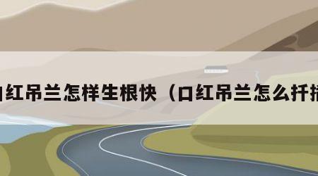 口红吊兰怎样生根快（口红吊兰怎么扦插）