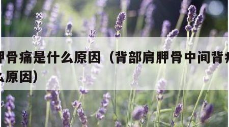 肩胛骨痛是什么原因（背部肩胛骨中间背疼是什么原因）