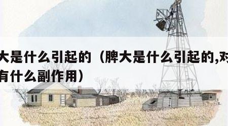 脾大是什么引起的（脾大是什么引起的,对身体有什么副作用）