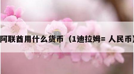 阿联酋用什么货币（1迪拉姆= 人民币）