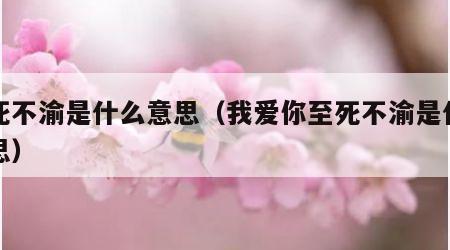至死不渝是什么意思（我爱你至死不渝是什么意思）