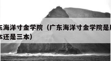 广东海洋寸金学院（广东海洋寸金学院是属于二本还是三本）