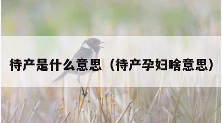 待产是什么意思（待产孕妇啥意思）