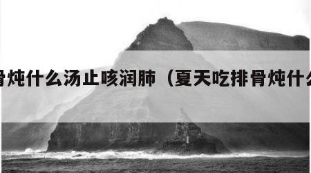 排骨炖什么汤止咳润肺（夏天吃排骨炖什么最好）