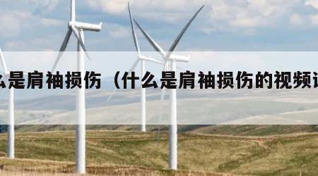 什么是肩袖损伤（什么是肩袖损伤的视频讲解）