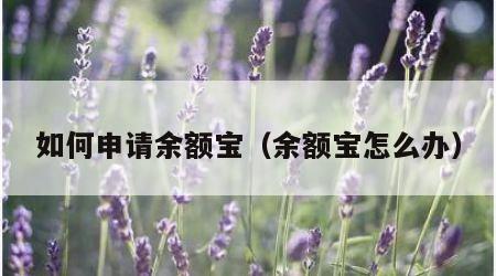 如何申请余额宝（余额宝怎么办）