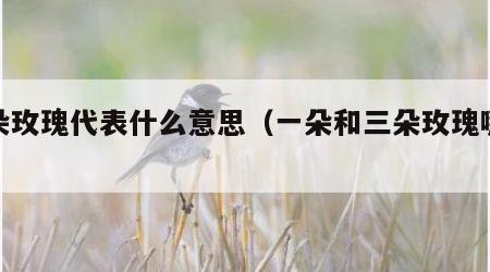 二朵玫瑰代表什么意思（一朵和三朵玫瑰哪个好）
