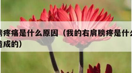 肩膀疼痛是什么原因（我的右肩膀疼是什么原因造成的）