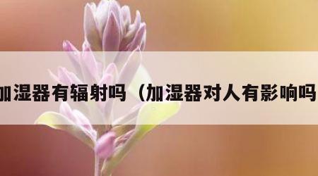 加湿器有辐射吗（加湿器对人有影响吗）