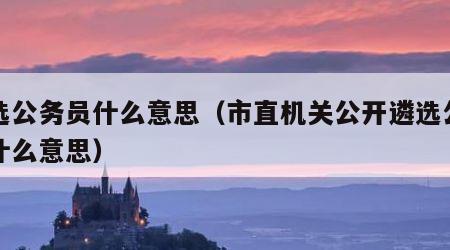 遴选公务员什么意思（市直机关公开遴选公务员什么意思）