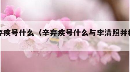 辛弃疾号什么（辛弃疾号什么与李清照并称什么）