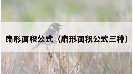 扇形面积公式（扇形面积公式三种）
