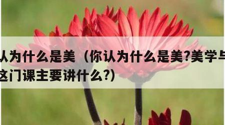 你认为什么是美（你认为什么是美?美学与美育这门课主要讲什么?）