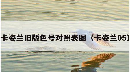 卡姿兰旧版色号对照表图（卡姿兰05）