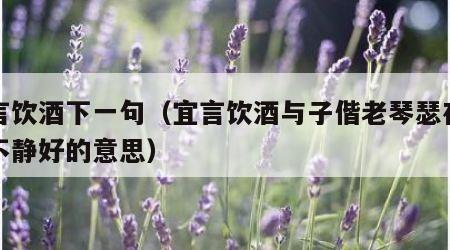宜言饮酒下一句（宜言饮酒与子偕老琴瑟在御莫不静好的意思）