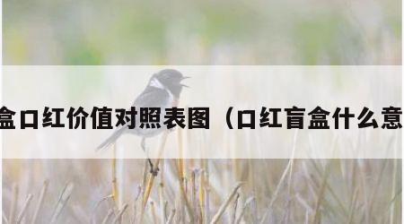 盲盒口红价值对照表图（口红盲盒什么意思）