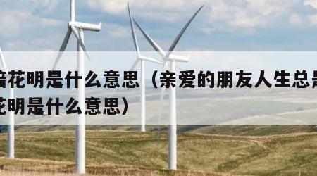 柳暗花明是什么意思（亲爱的朋友人生总是柳暗花明是什么意思）